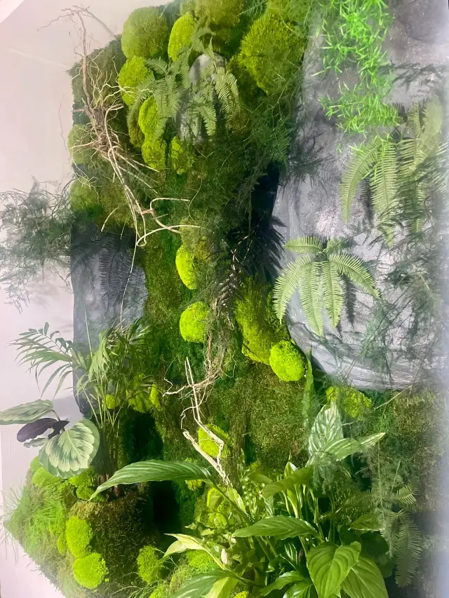 Vert'ige - Arte e cultura a Paris (6)
