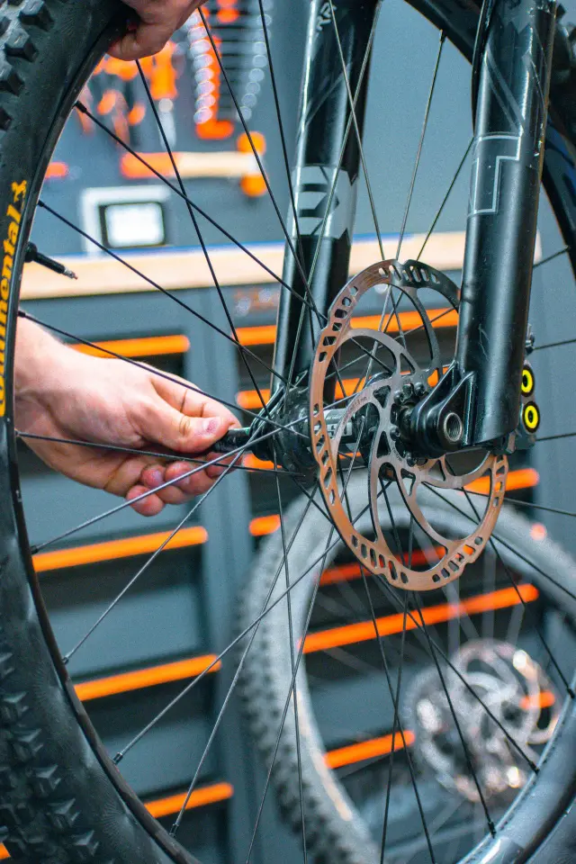 22 BIKE WORKSHOP - Noleggio biciclette a Manesseno (5)