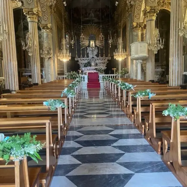 Drago Fiori - Piante e giardino a Genova (6)