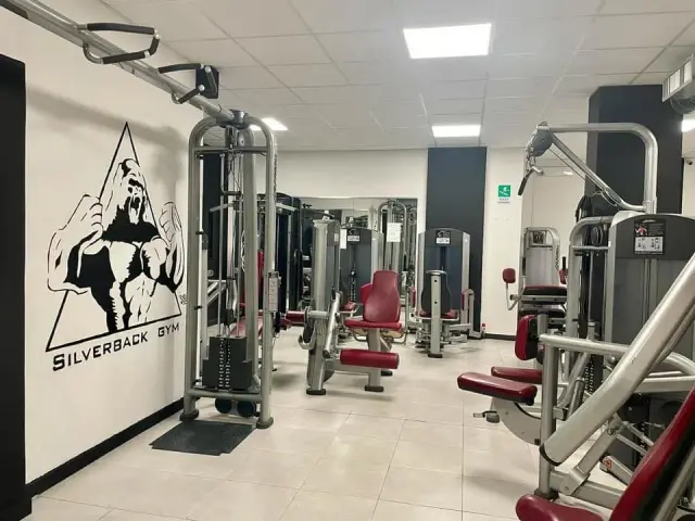 Silverback Gym - Palestre a Genova (4)