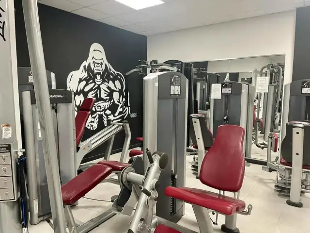 Silverback Gym - Palestre a Genova (5)