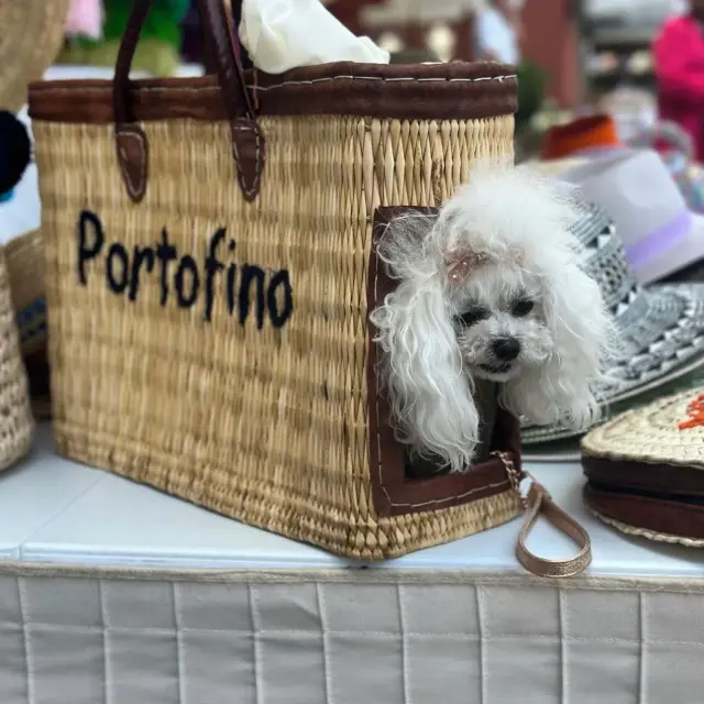 Carolina Portofino - Accessori a Portofino (3)