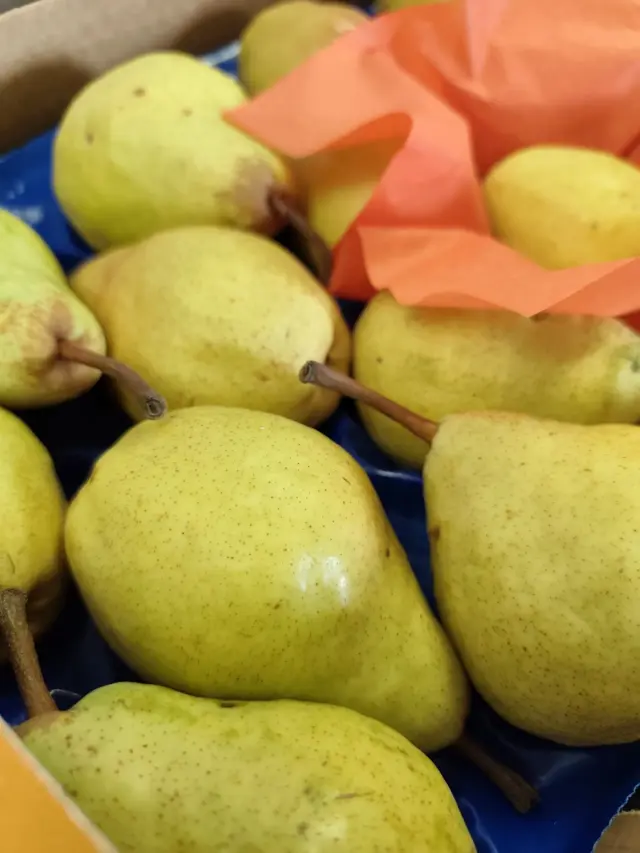 Ortofrutta Tigullio SNC - Ortofrutta a Sestri Levante (6)