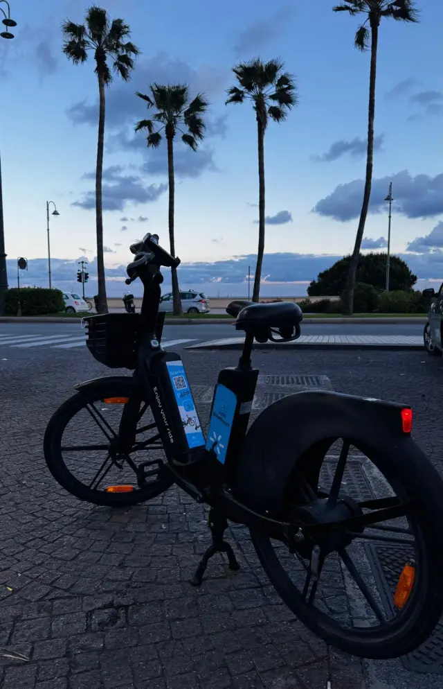 Bike Sharing Genova - Biciclette (5)