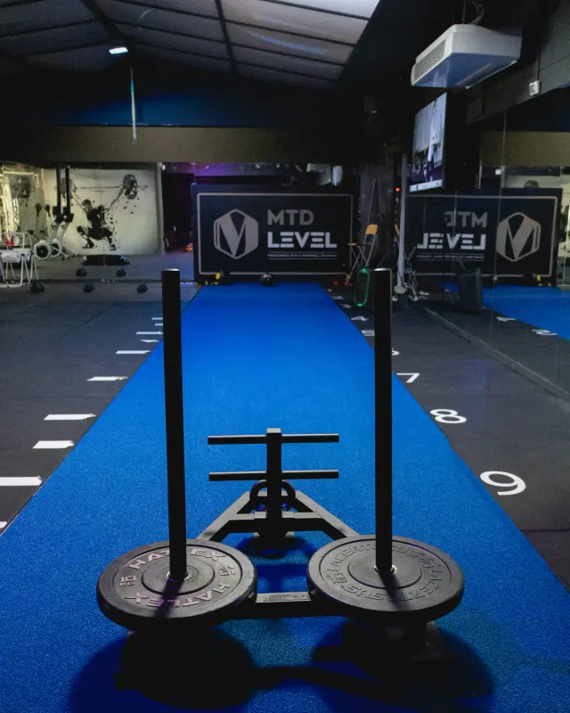 MTD LEVEL Functional Gym Sport Training - Palestre a Genova (2)