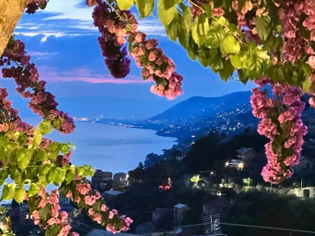 Mille e Una Notte Ristorante - Ristoranti a Camogli (6)