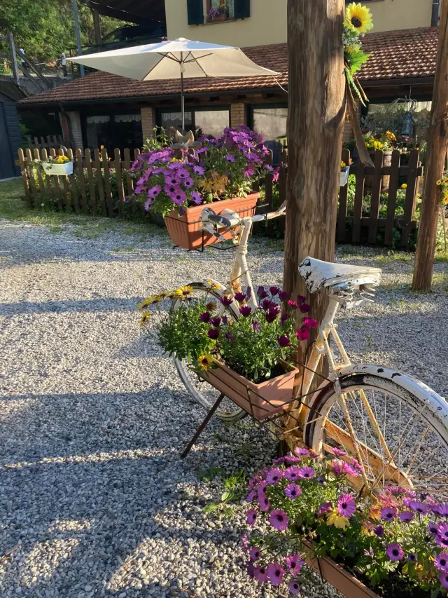La Taverna del Nonno - Agriturismi (6)