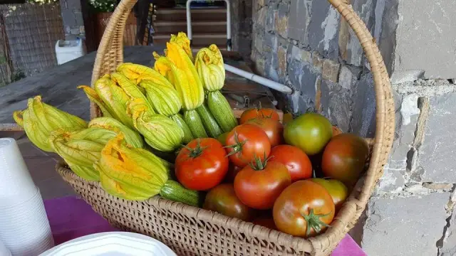 La Fattoria di Marta - Agriturismi a Sant'Olcese (2)