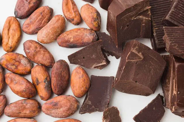 Zuccotti - Cioccolaterie a Genova (5)