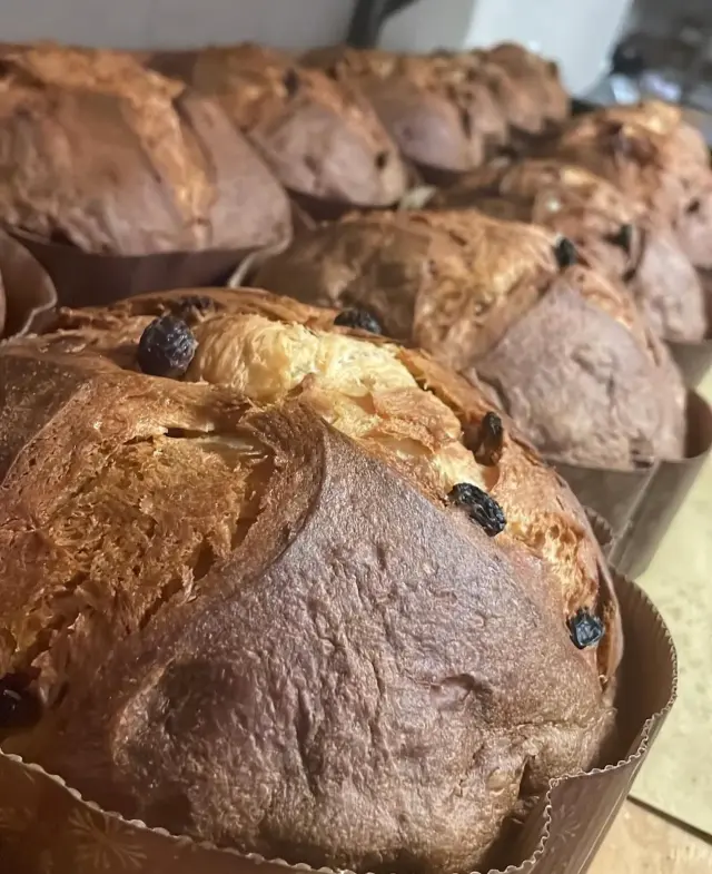 Parchi Bakery - Bakery a Sestri Levante (4)