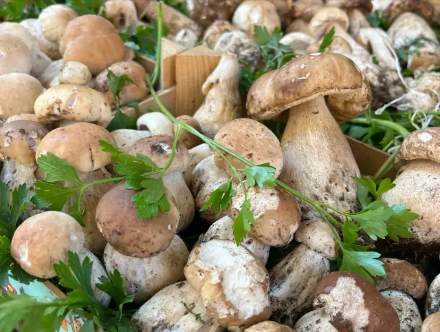 Il Frutteto di Sere e Miki - Ortofrutta a Genova (4)