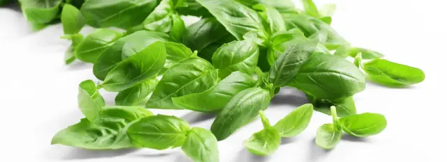 Creuza de Ma Pesto - Prodotti tipici liguri a Arenzano (6)
