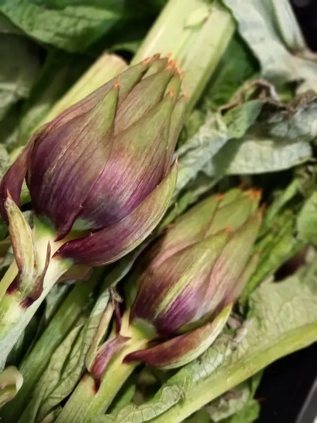 Alimentari Calissi - Alimentari a Uscio (4)