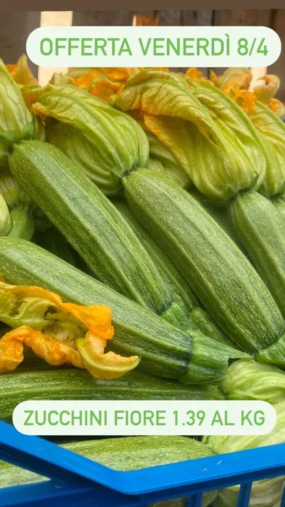 Il Bello Della Frutta - Ortofrutta (4)