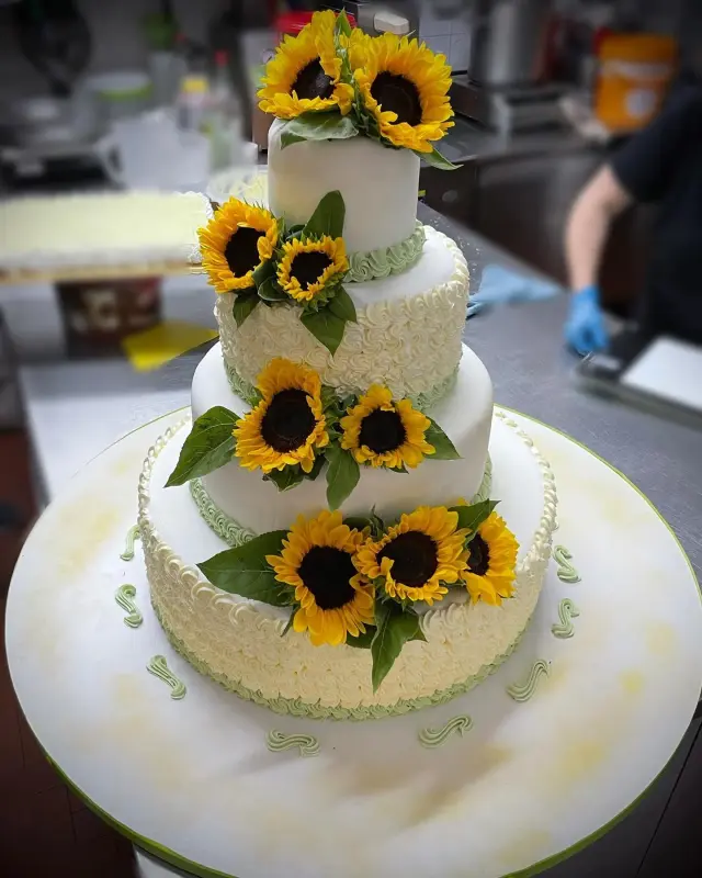Pasticceria Guano - Pasticcerie (2)