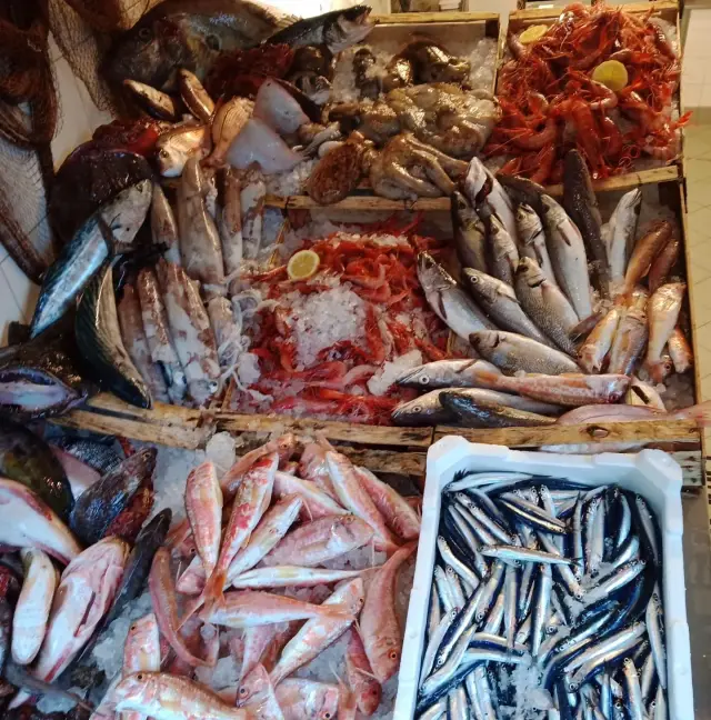 Pescheria Bagnara - Pescherie a Genova (2)