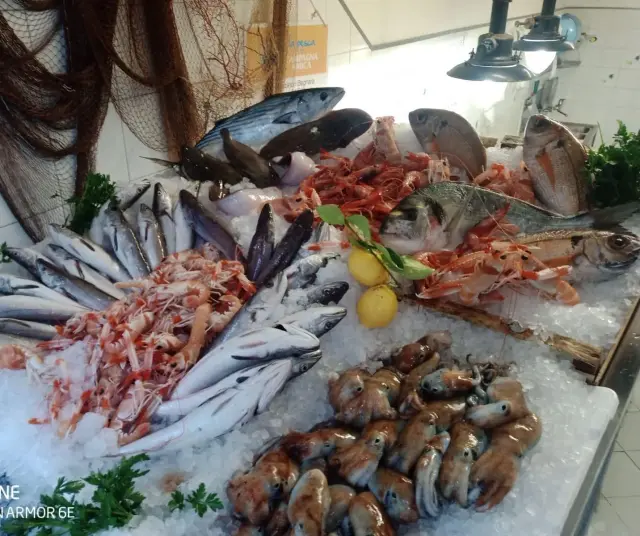 Pescheria Bagnara - Pescherie a Genova (4)