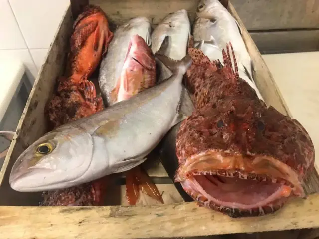 Pescheria Bagnara - Pescherie a Genova (5)