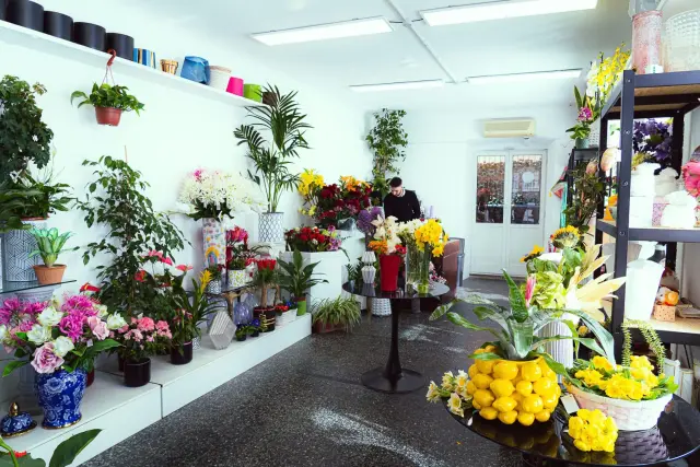 Tangi Fiori - Piante e giardino a Genova (6)