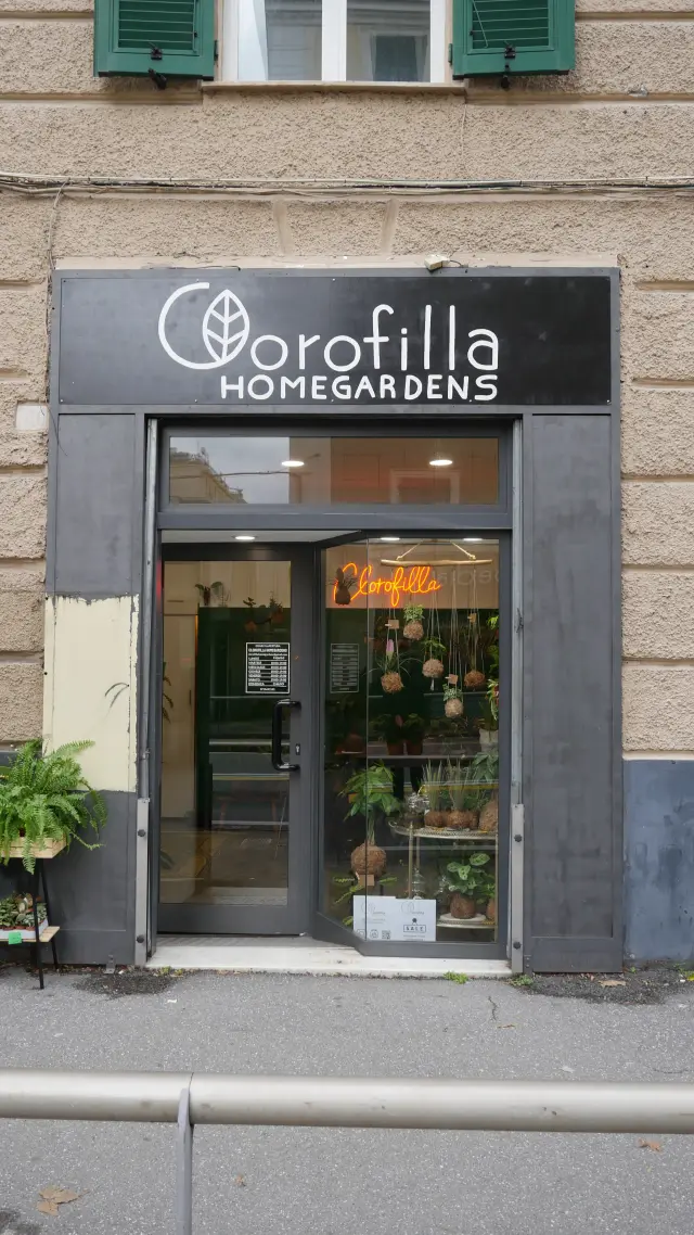 Clorofilla Homegardens - Piante e giardino a Genova (2)