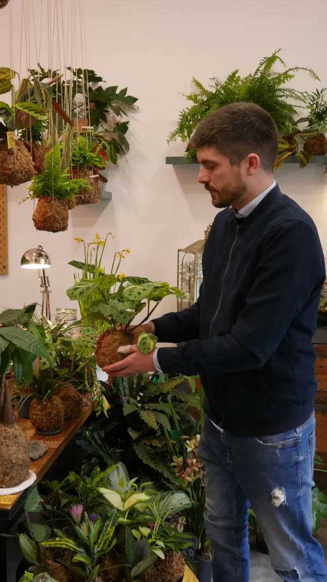 Clorofilla Homegardens - Piante e giardino a Genova (4)