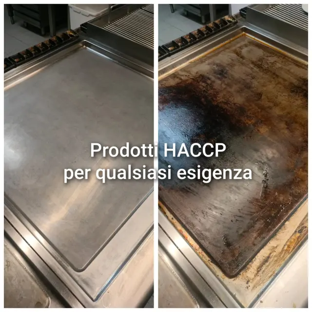 Vendita prodotti chimici - Disinfestazioni (4)