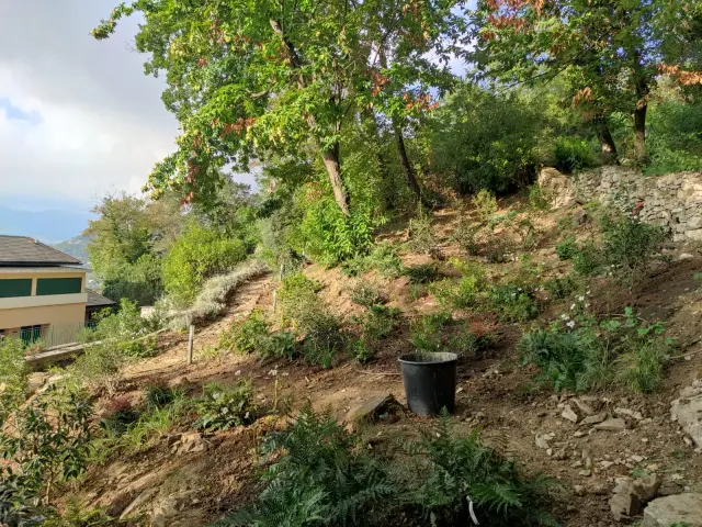 IntelliGarden - Piante e giardino (2)