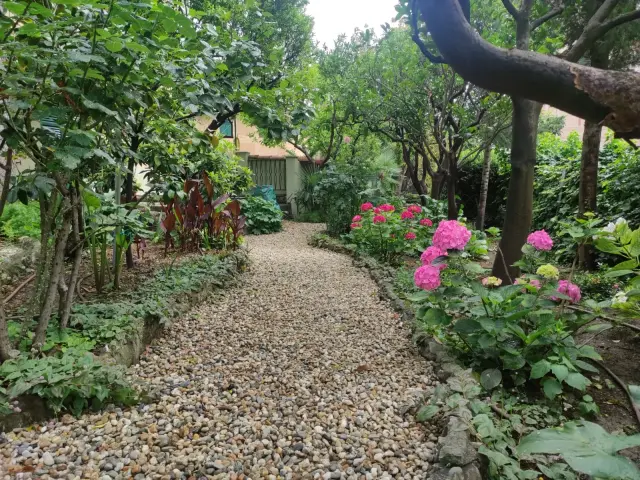 IntelliGarden - Piante e giardino (3)