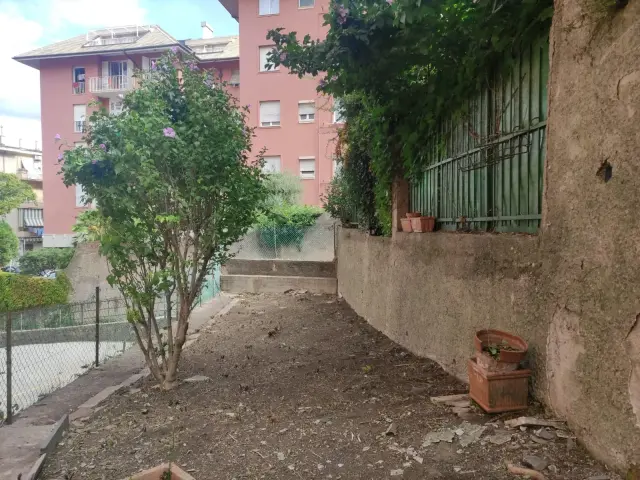 IntelliGarden - Piante e giardino (4)