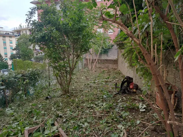 IntelliGarden - Piante e giardino (6)