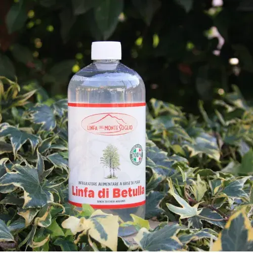 Linfa di Betulla - Bellezza a Genova