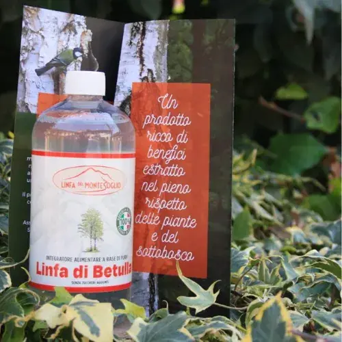 Linfa di Betulla - Bellezza a Genova (2)