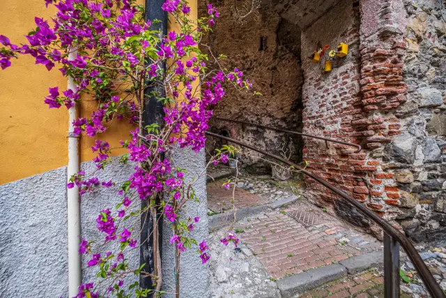 La casa di Alice - Bed & Breakfast a Genova (3)