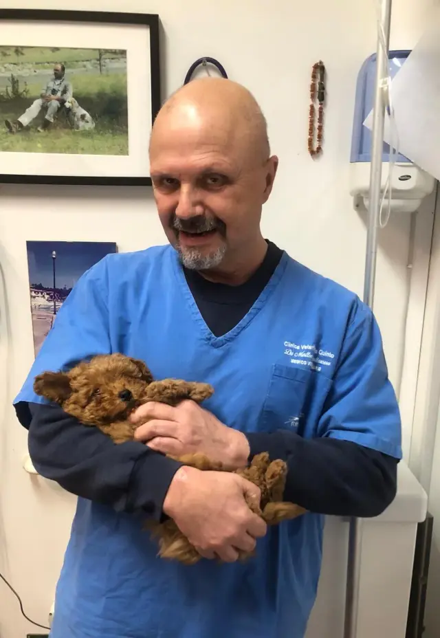 Clinica Veterinaria Quinto - Veterinari a Genova (4)