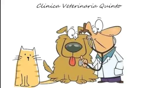 Clinica Veterinaria Quinto - Veterinari a Genova (6)