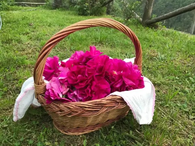 Cascina Fornacia azienda agricola di Pastorino Antonella - Dove mangiare a Campo Ligure