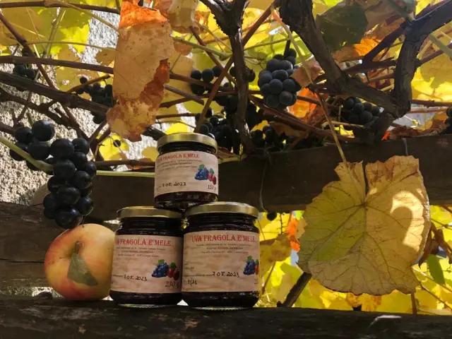 Cascina Fornacia azienda agricola di Pastorino Antonella - Dove mangiare a Campo Ligure (2)