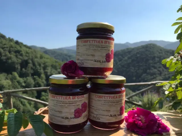 Cascina Fornacia azienda agricola di Pastorino Antonella - Dove mangiare a Campo Ligure (3)