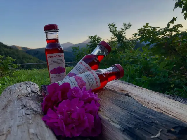 Cascina Fornacia azienda agricola di Pastorino Antonella - Dove mangiare a Campo Ligure (6)