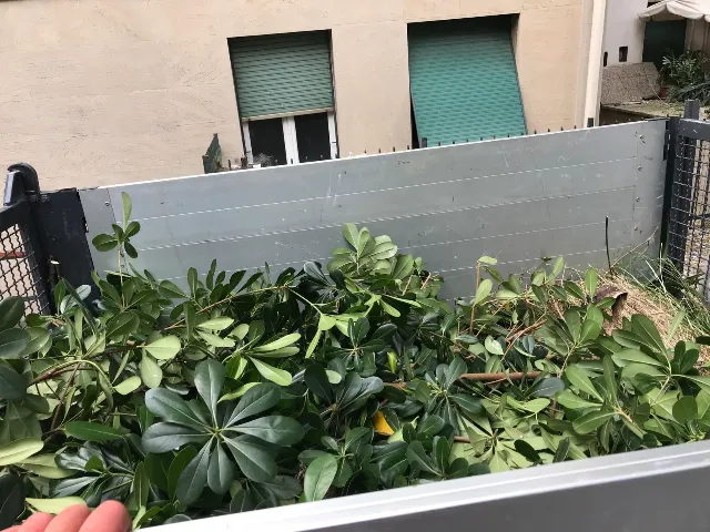 Idea Service - Sanificazioni a Genova (6)