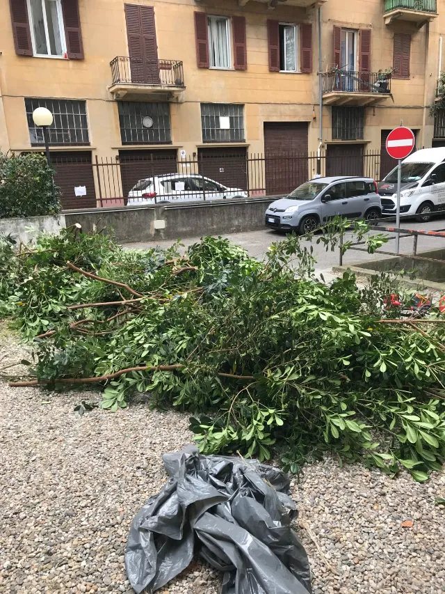 Idea Service - Sanificazioni a Genova (5)