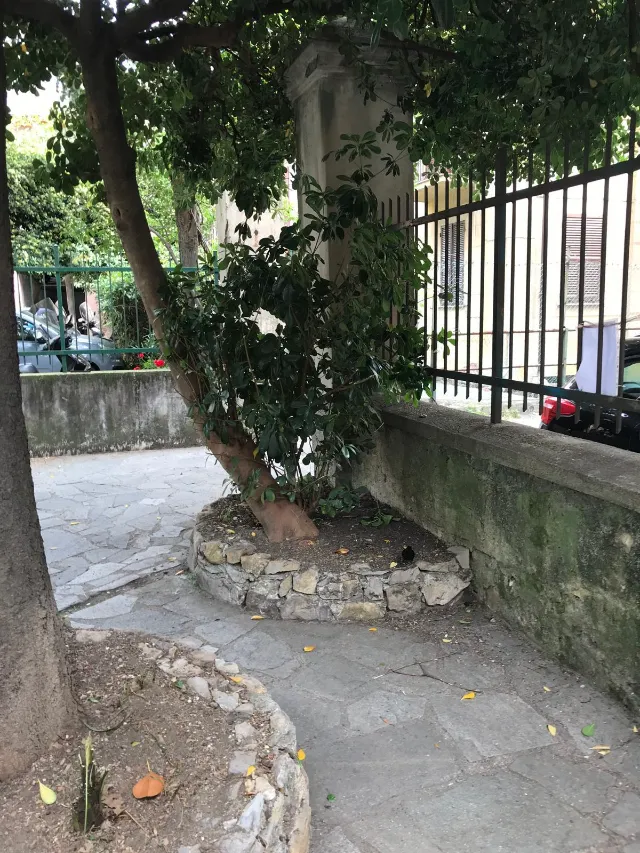 Idea Service - Sanificazioni a Genova