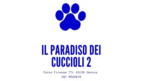 Il Paradiso di Cuccioli 2 - Negozi per animali a Genova