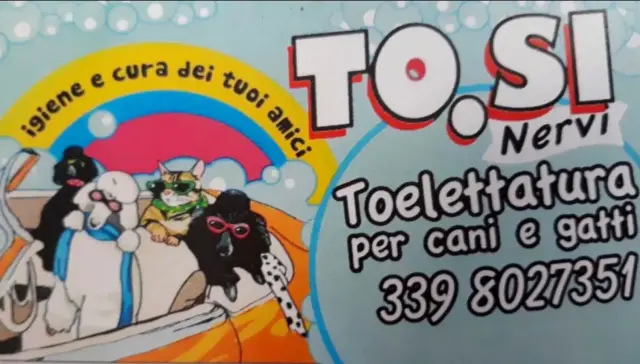 TO.SI TOELETTATURA - Toelettatura a Genova