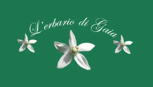 L'Erbario di Gaia - Erboristerie a Santa Margherita Ligure