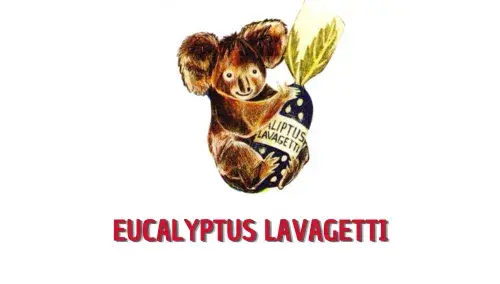 Caramelle Lavagetti - Candy shop a Genova